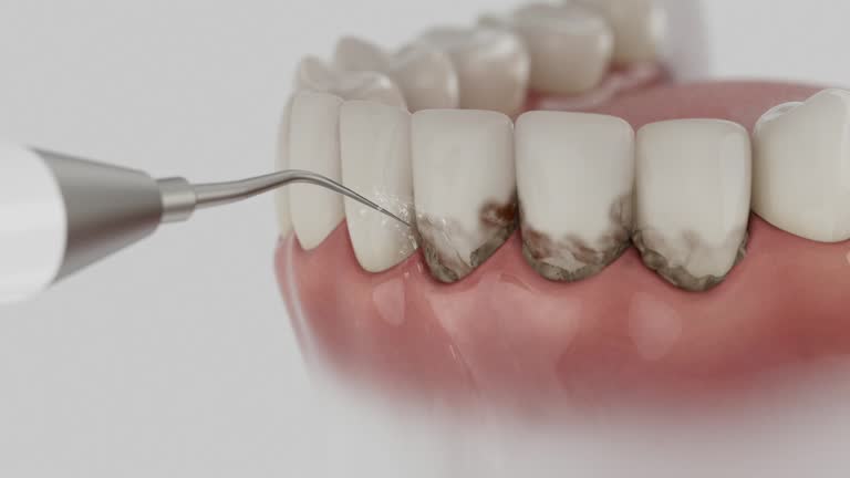Reliable Dental contractor in Anderson Island, WA by Dentist Open Now